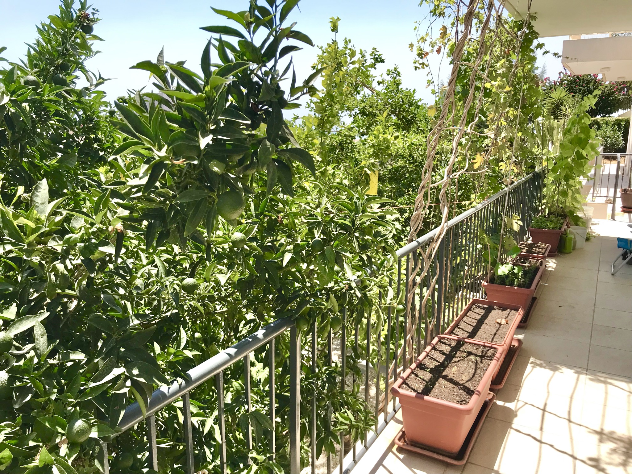 3C7EF585-4176-4DF7-A334-1A1360B552A2