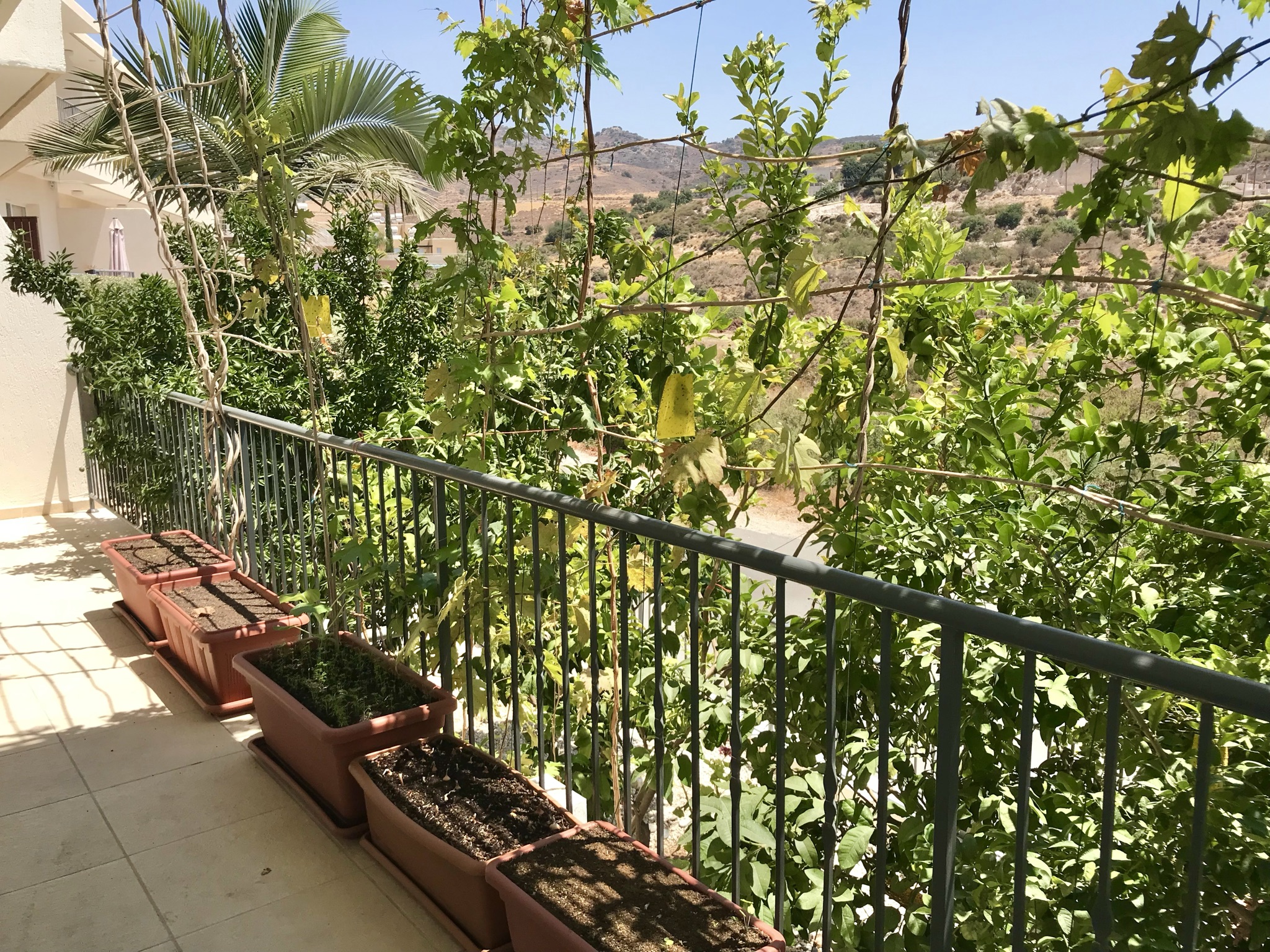 6BDEC694-84C5-4357-BC6A-3E8F7F02AC60