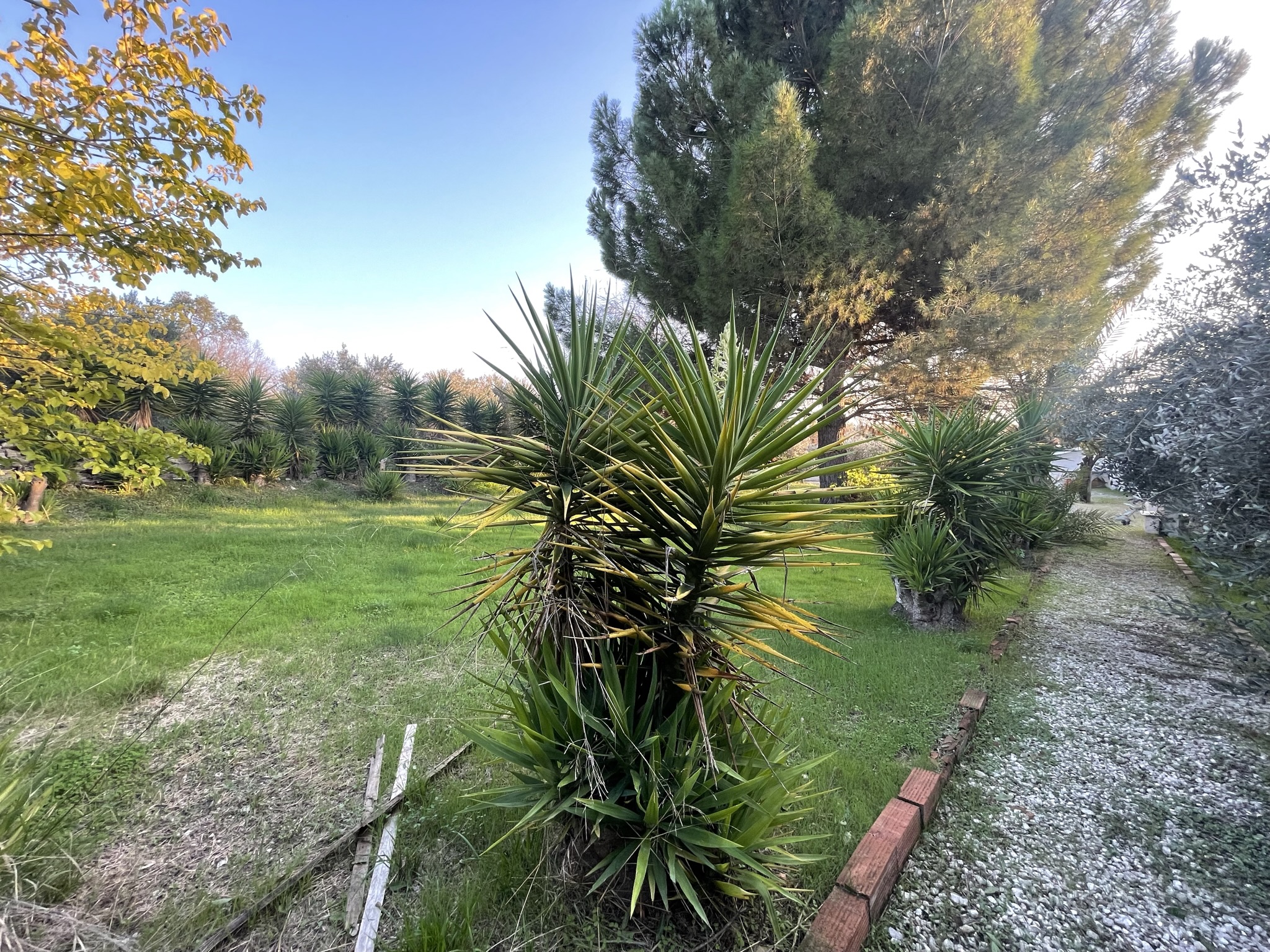 A9967784-6FB3-4FAD-AB51-5B2053D79C94