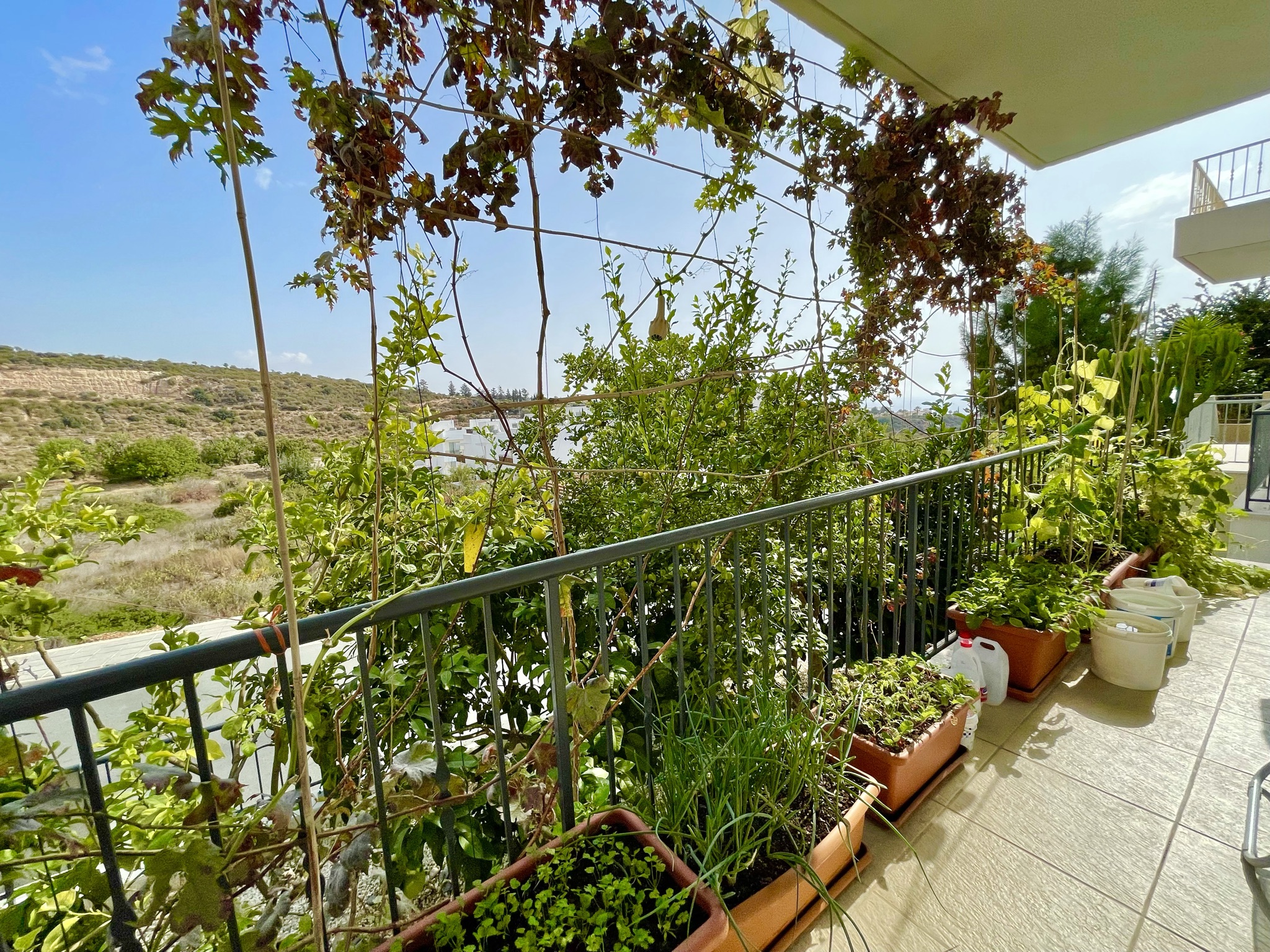 AAD34C47-1FB5-47A5-9ED7-920443959126