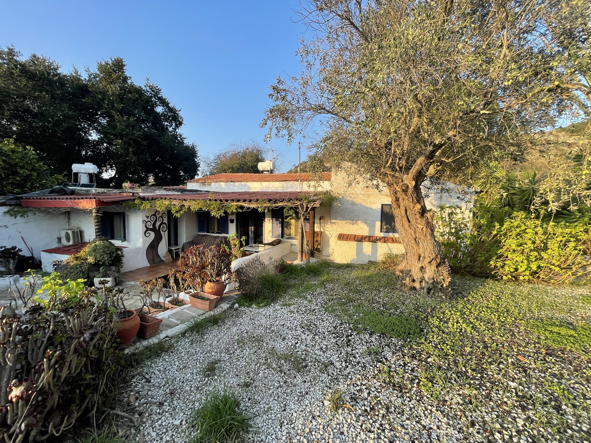 B60337E2-58CB-4C06-B977-ED9688FB9B82