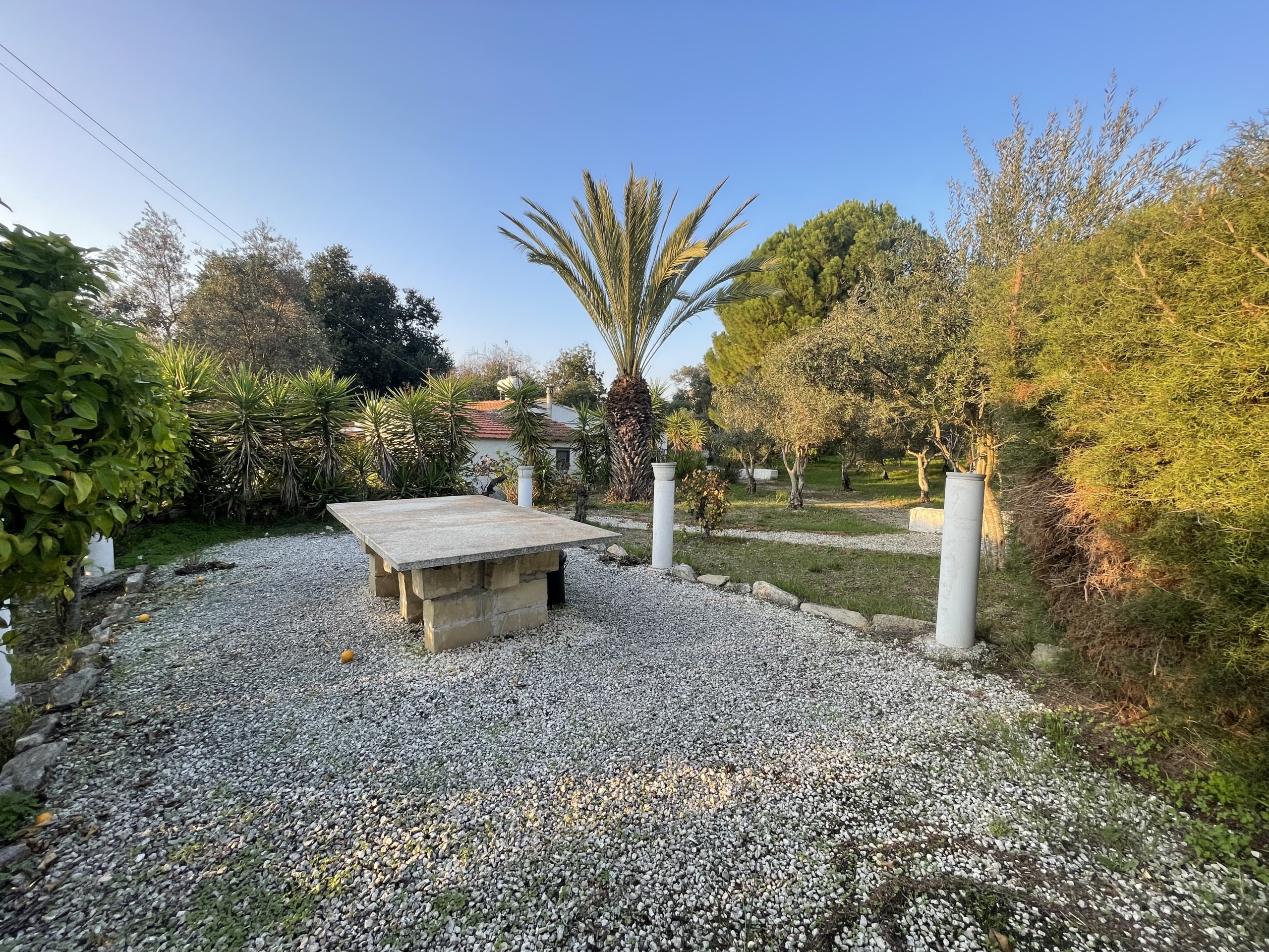 D0060597-21FC-41F1-9FB2-9CB6278EA6E6