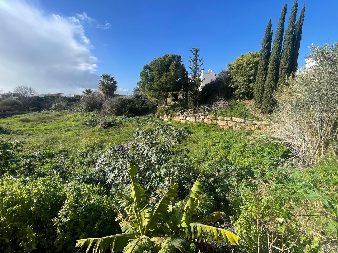property-plot-for-sale-paphos-cyprus2