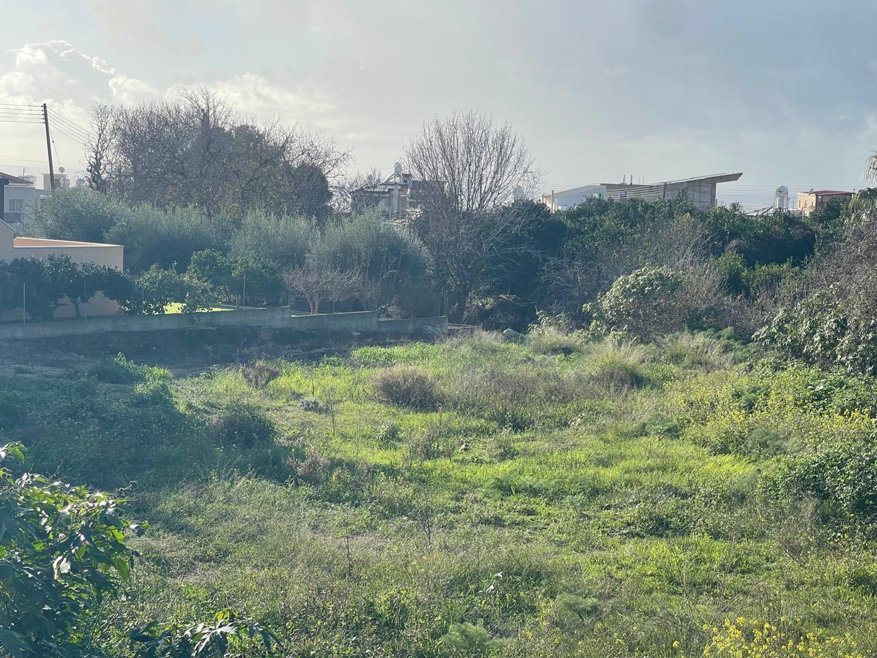 property-plot-for-sale-paphos-cyprus3