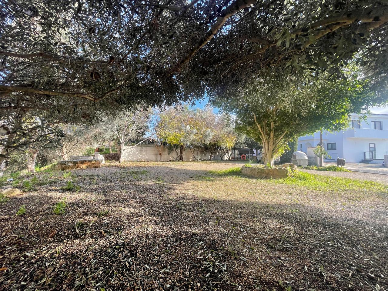 property-plot-for-sale-paphos-cyprus4