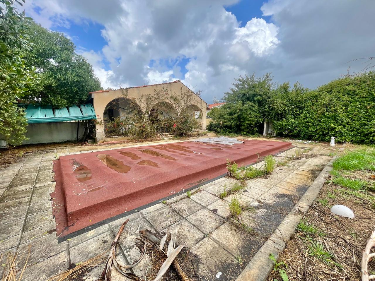 bungalow-for-sale-Chloraka-Cyprus8