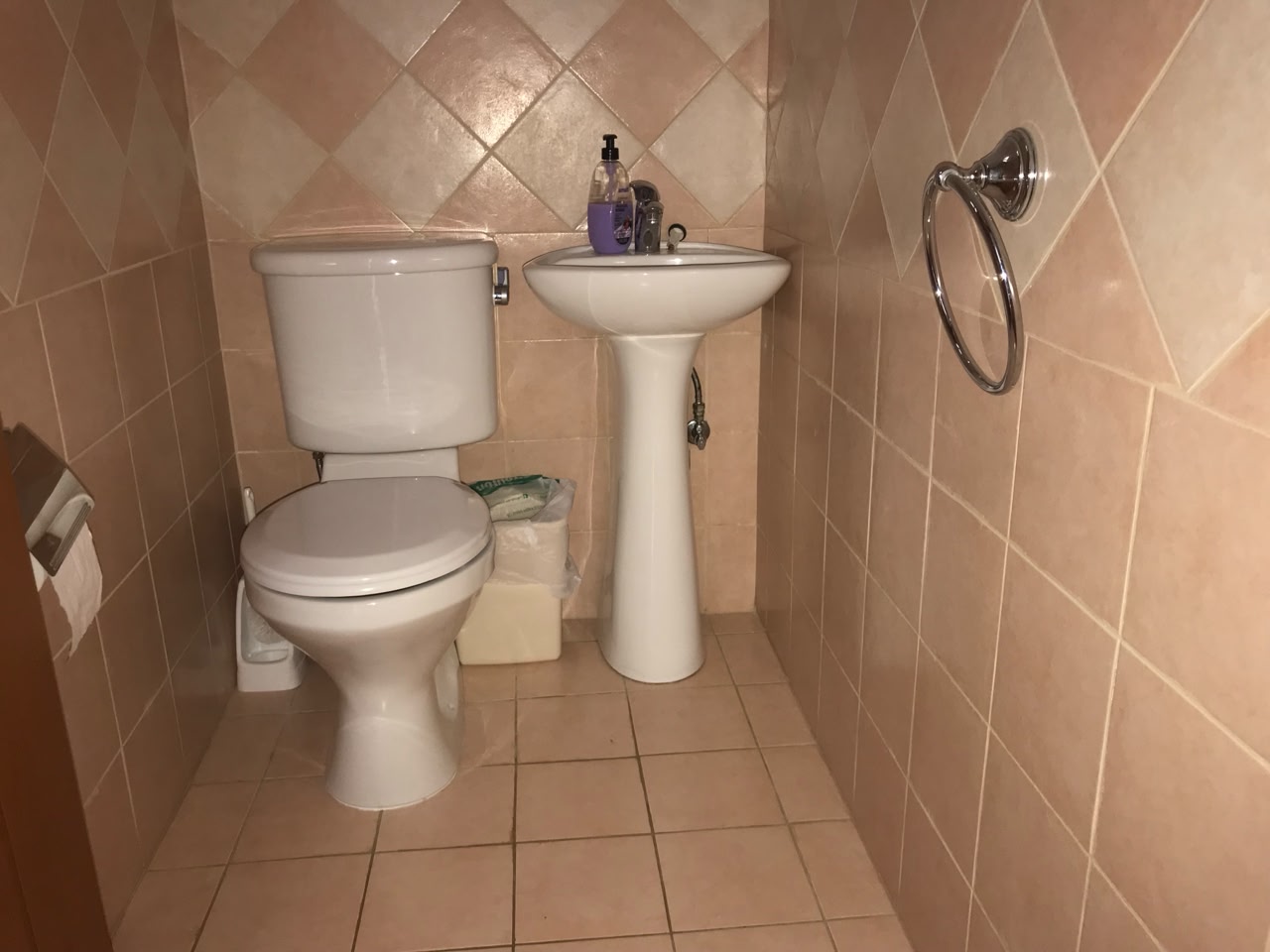 Large 1-bedroom ground apartment in Universal tourist area small garden
