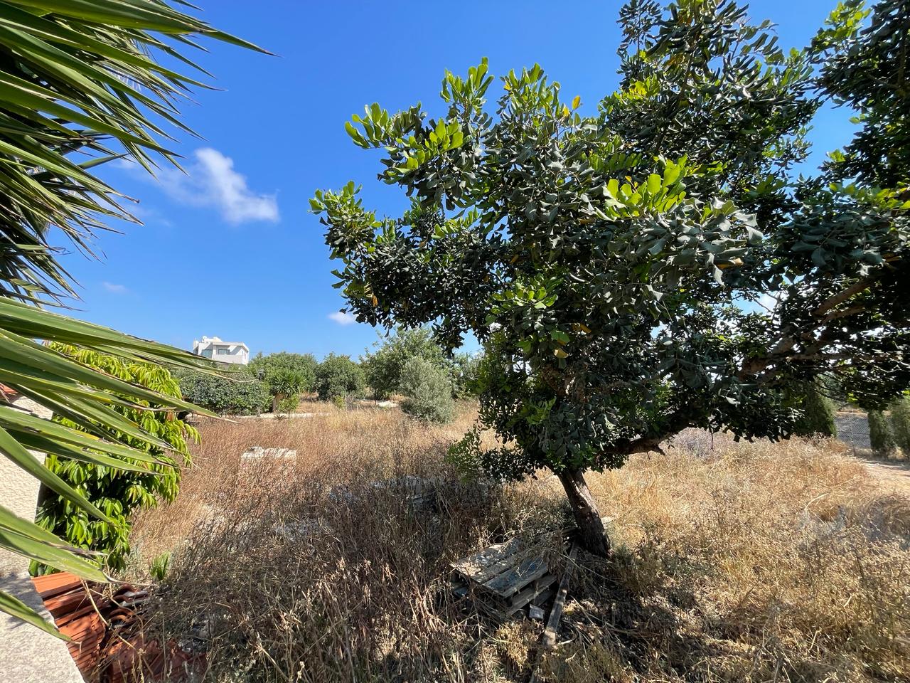 key-ready-villa-property-for-sale-paphos-cyprus3 2-Bedroom Villa with a Private Pool and the Possibility to Create a 3rd Bedroom