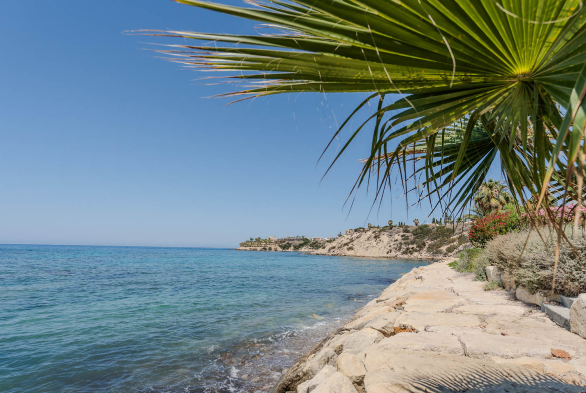 3-Bedroom Beachfront Villa with Swimming Pool