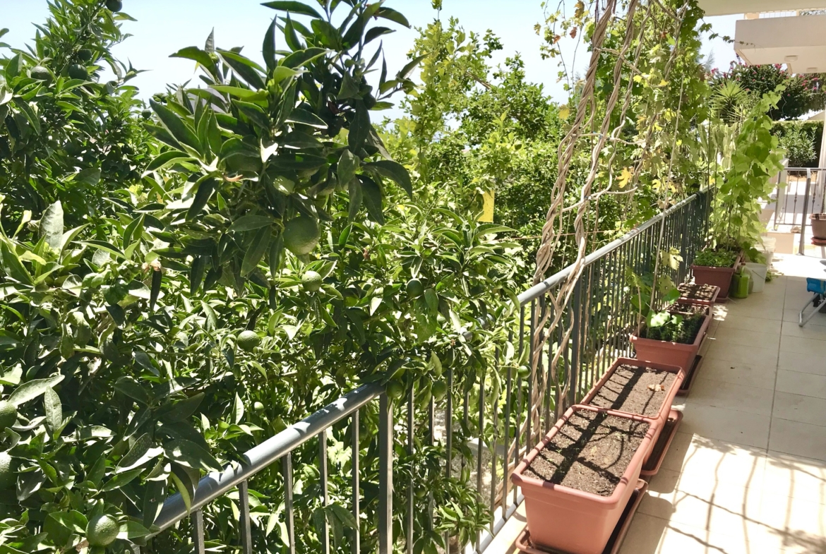 Splendid 3 Bedroom Villa Sea Views