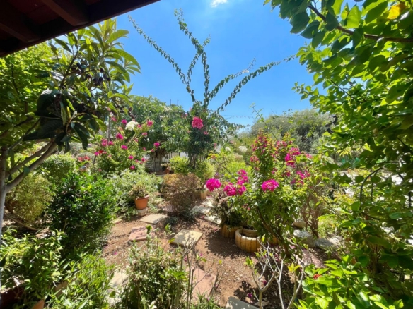 Sea View Plot with High Development Potential