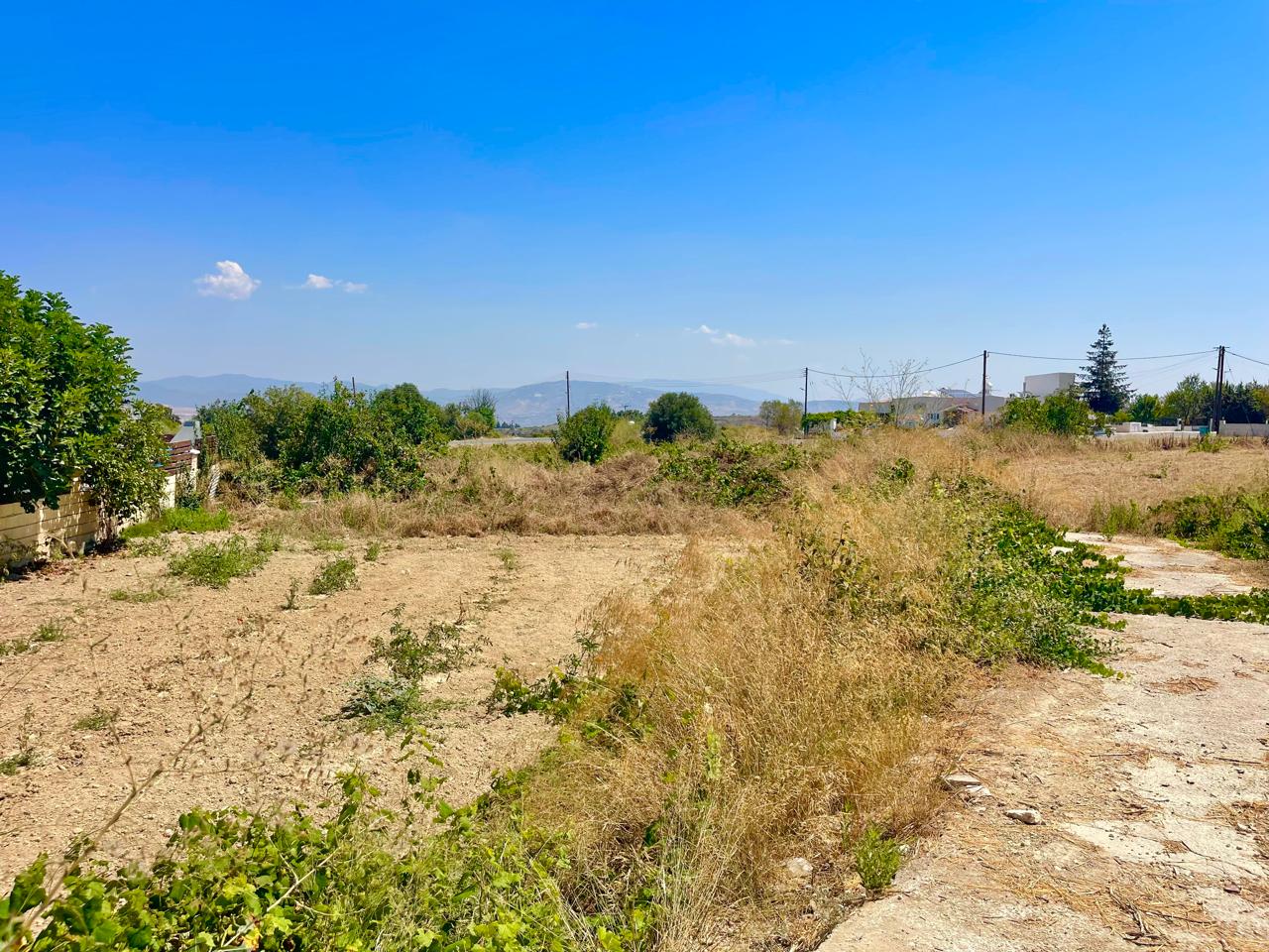 plot-of-land-for-sale-paphos-cyprus1 A 480 sqm plot of land surrounded by nature