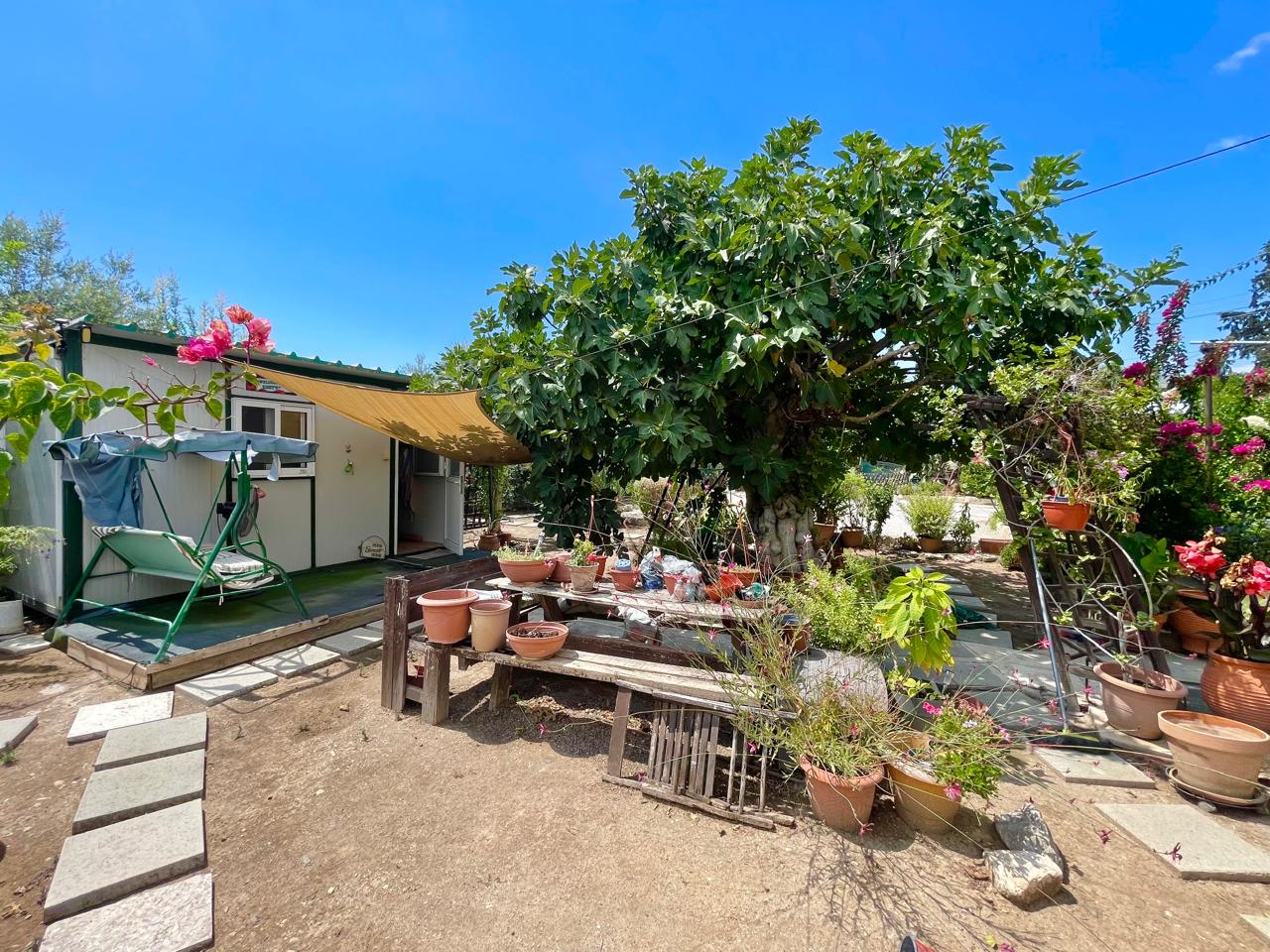 Traditional 3-Bedroom Stone Bungalow Surrounded by a Mature Garden
