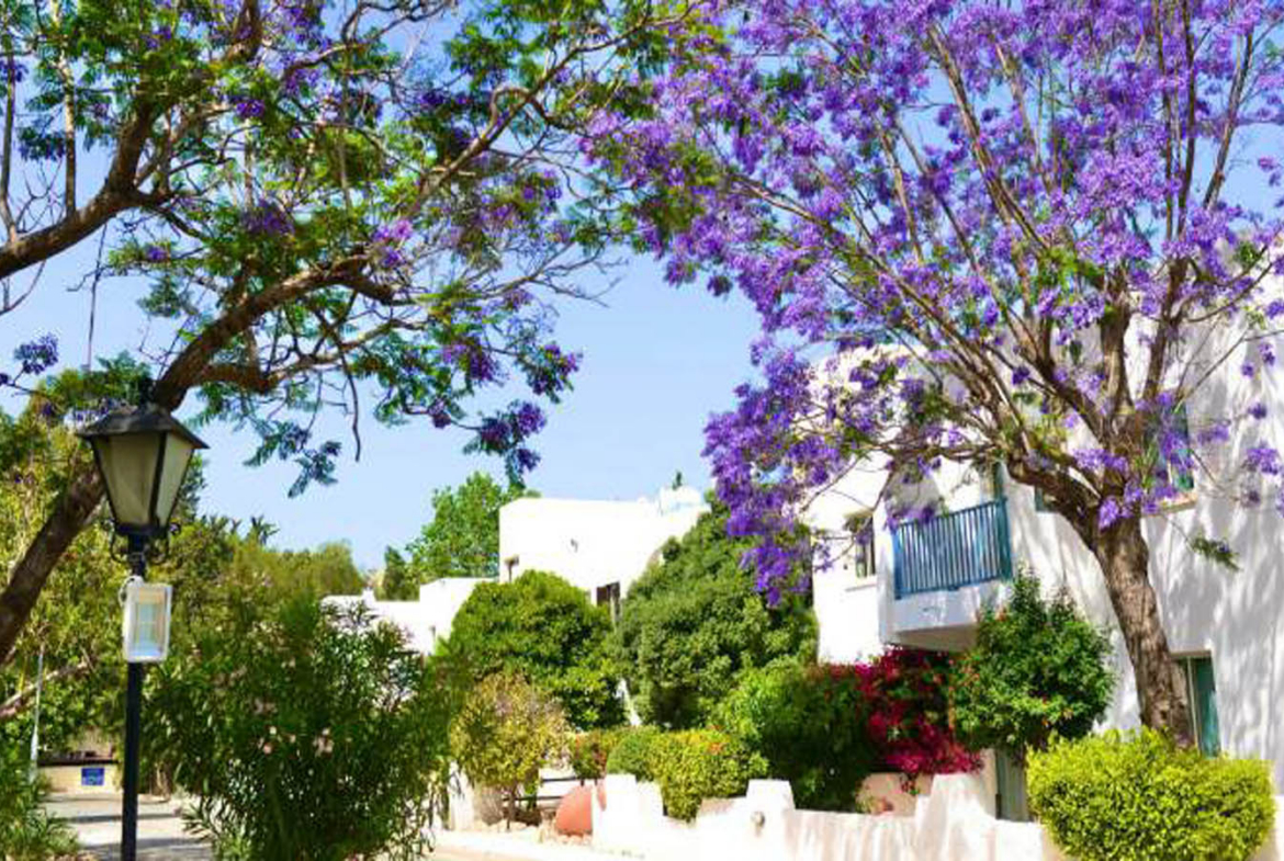 Bright Fully Furnished 2-Bedroom Apartment Close to the Sea