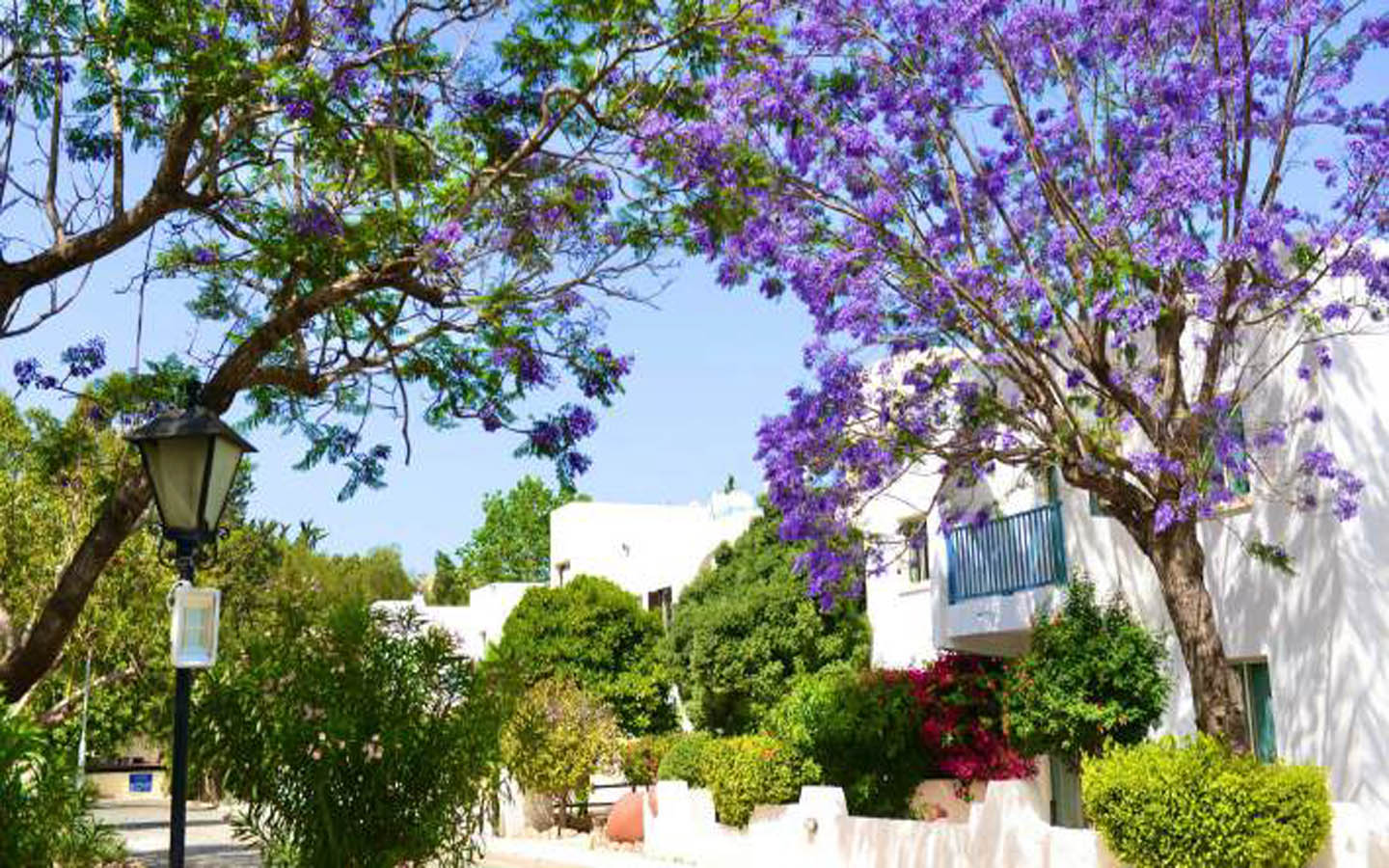 Bright Fully Furnished 2-Bedroom Apartment Close to the Sea
