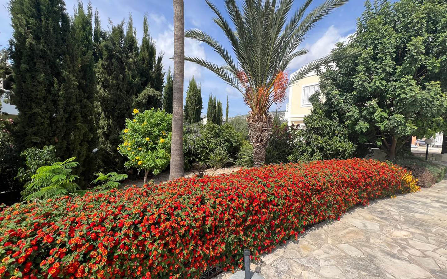 04_Exterior_key-ready-villa-for-sale-paphos-cyprus Two-bedroom villa with a private garden and communal swimming pool