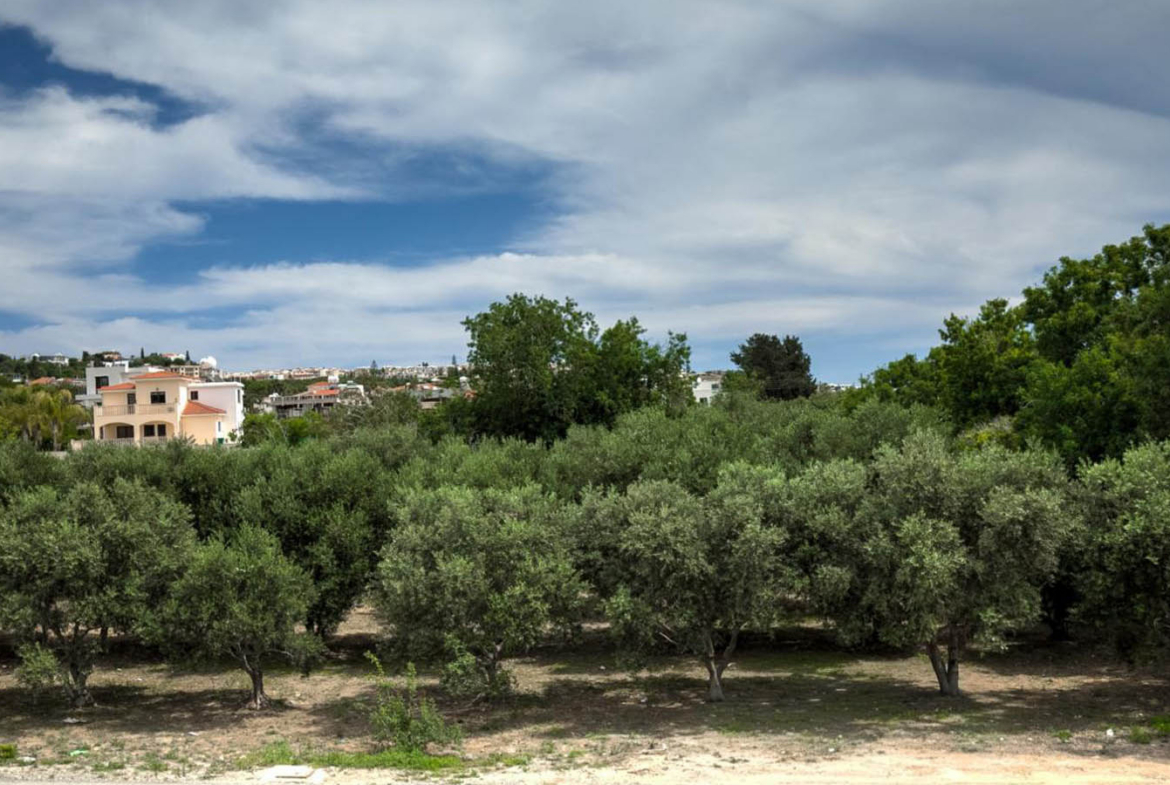 Contemporary Three-Bedroom Villa Overlooking an Olive Grove
