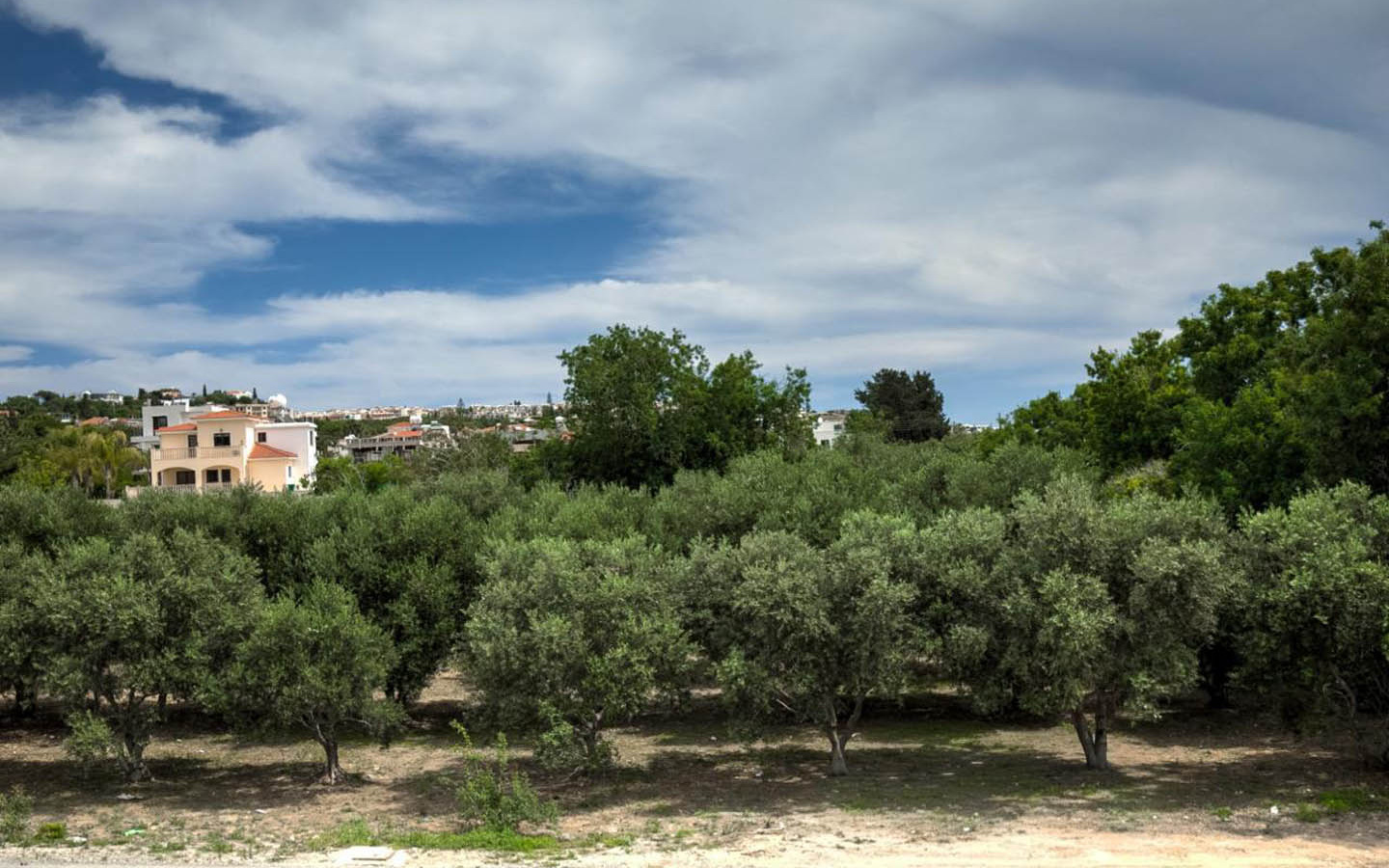 09_Exterior_new-key-ready-villa-for-sale-paphos-cyprus Contemporary Three-Bedroom Villa Overlooking an Olive Grove