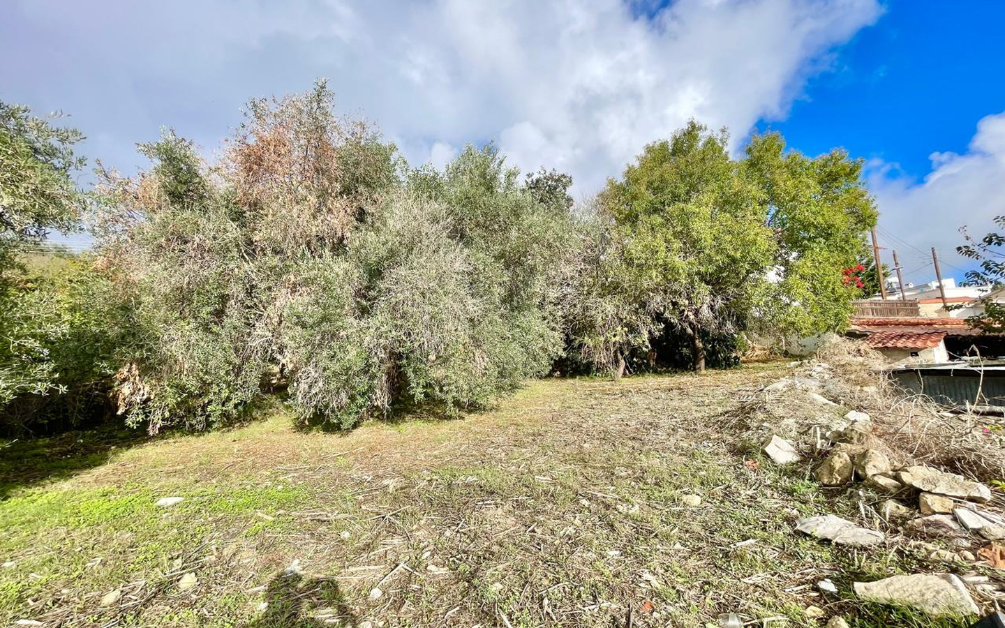 09_Exterior_stone-house-for-sale-paphos-cyprus One-bedroom stone cottage with a fireplace and a beautiful green garden
